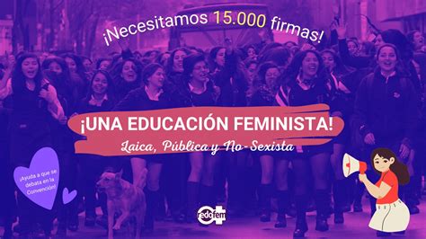 Iniciativa popular por una educación feminista de Redofem entre las más