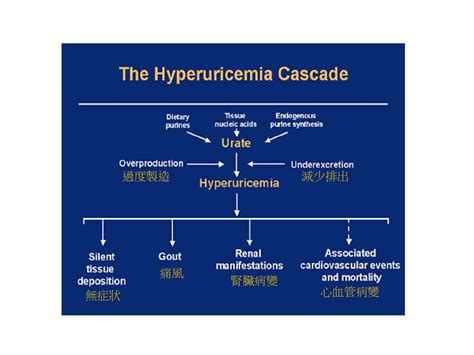 Hyperuricemia And Gout