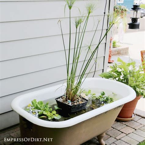 × water heater faucets faucet components sinks tub & shower toilets fittings & valves tools & tubing freeze protection. How to Make a Bathtub Garden Pond - Empress of Dirt