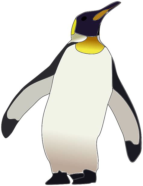 Penguin Clipart Free Download Transparent Png Creazilla