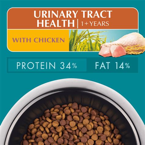 Buy Purina One Adult Urinary Tract Health Chicken Dry Cat Food Online