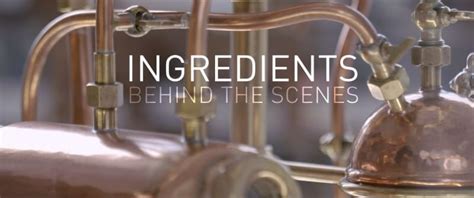 Ingredients Reimagine The Future Of Fragrance And Flavor With Us