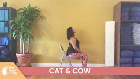 12 Modified Cat And Cow Pose Yoga Poses