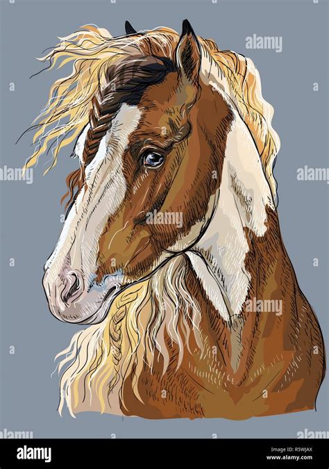 Dibujo A Mano Alzada Colorido Retrato De Pinto Horse Cabeza De