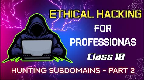 Hunting Subdomains Part Ethical Hacking For Professionals Class Hot