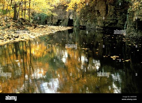 Rock Creek Canyon In The Fall At Kankakee River State Park Illinois