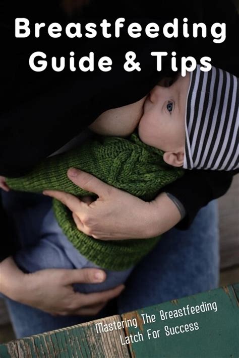알라딘 Breastfeeding Guide And Tips Mastering The Breastfeeding Latch For