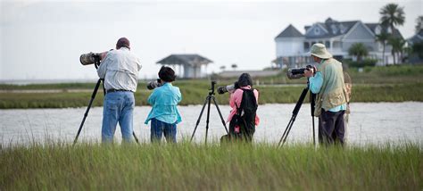 Check spelling or type a new query. Galveston Island State Park — Texas Parks & Wildlife ...