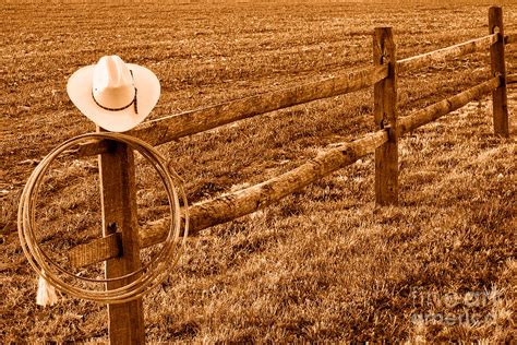 Hat And Lasso On Fence Sepia Photograph By Olivier Le Queinec Fine