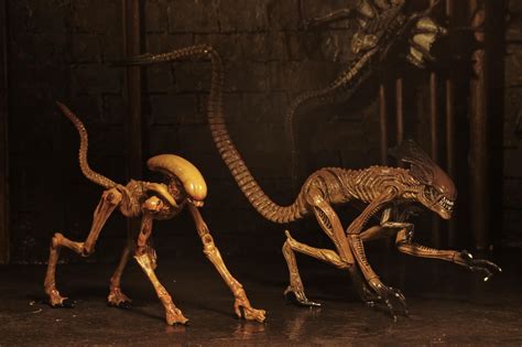 Vault boy (nerd rage) 33991 (feb). Alien Movie UK 3 - Accessory Pack - Creature Pack Coming ...