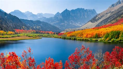 Autumn Trees On Lake Hd Nature 4k Wallpapers Images Backgrounds Gambaran