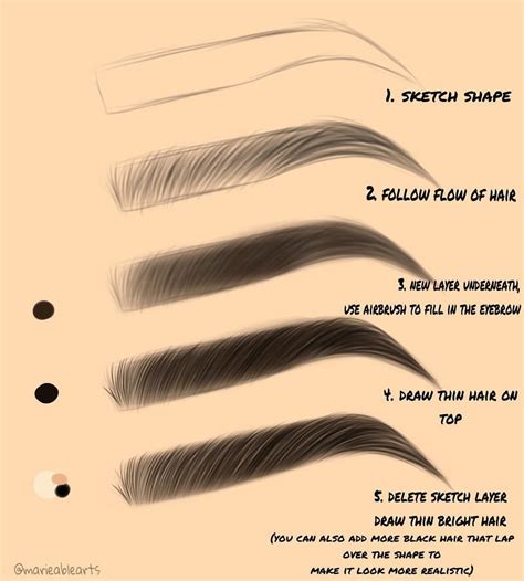 How To Draw Your Eyebrows Step By Step At Drawing Tutorials