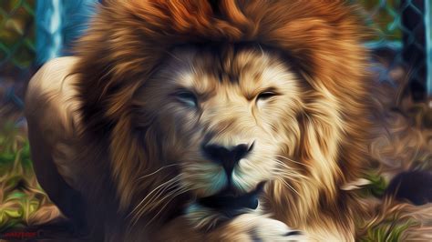 Lion Full Hd Wallpaper And Background Image 1920x1080 Id441746