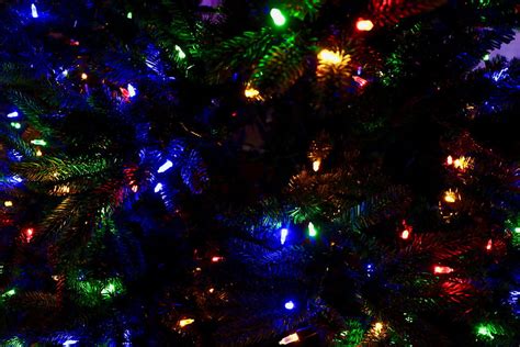 Holidays New Year Multicolored Motley Christmas Christmas Tree