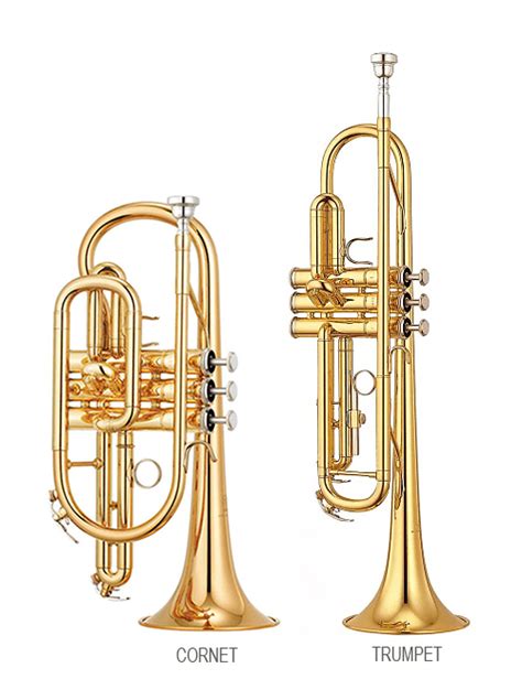Trumpet Versus Cornet What Is The Difference Musical Instrument