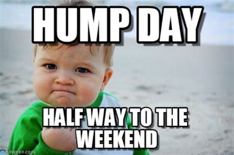 Hump Day Memes To Get You Through The Rest Of The Week Inspirationfeed