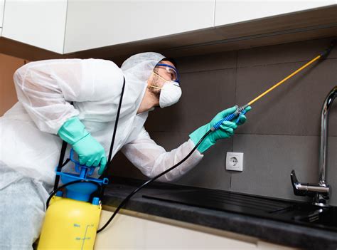 Expert pest control services, no salesman, friendly technicians Why do you need to hire professionals for pest control in ...