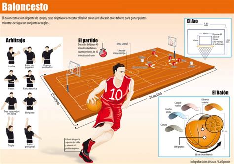 Infografía Sobre Basquet Baloncesto Imágenes Y Noticias