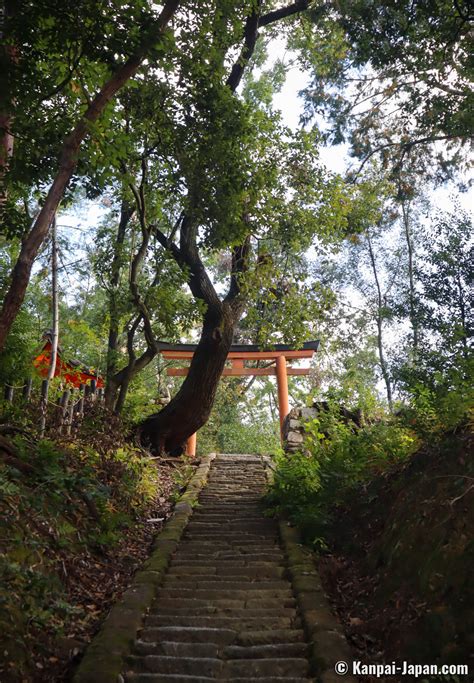Yoshida Jinja A Forest Stroll In The Heart Of Kyoto