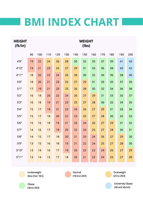 Free Adults BMI Chart Template PDF Template Net