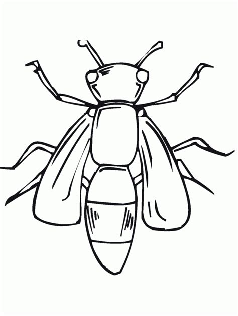 Bug Coloring Pages Coloring Home