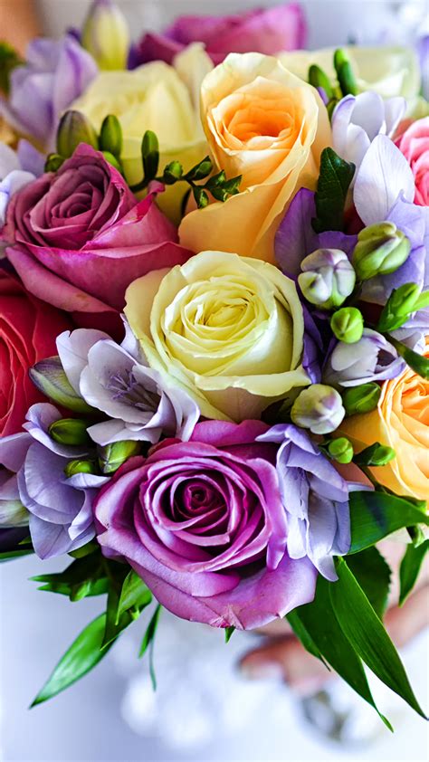 Images Bouquet Roses Flower Freesia 1080x1920