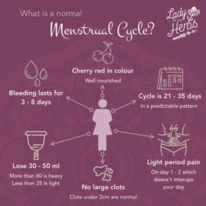 The menstrual cycle is a highly regulated physiological process that makes conception and pregnancy possible. The in's and out's of your Menstrual Cycle - Lady of the Herbs