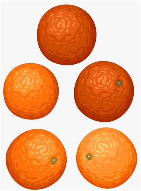 5 Oranges Clipart Clipart Panda Free Clipart Images Images And Photos