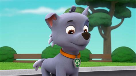 Watch Paw Patrol Season Episode Pups Save The Penguins Full Show
