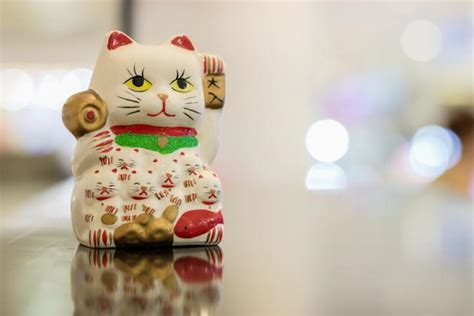 Fascinating Facts About The Maneki Neko Or Lucky Cat Lovetoknow