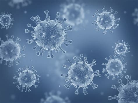 York & north yorkshire (scarborough, hambleton, richmondshire, selby london and most of the south east of england are already under the tier 4 rules. Coronavirus - latest news | Liverpool Express