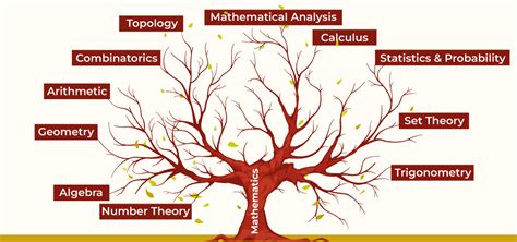 Branches Of Maths Arithmetic Algebra Geometry Calculus Statistics