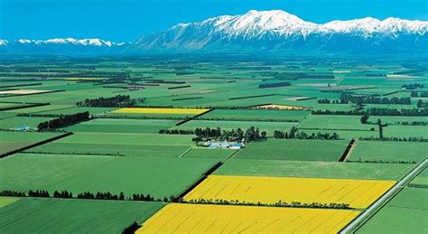 Canterbury Plains Information Maps Photos And Things To Do New