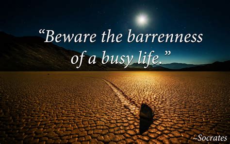 Busy Status Short Busy Quotes And Funny Sayings About Busy Life