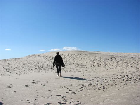 R Bjerg Mile A Majestic Sand Dune In Denmark