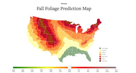 This Fall Foliage Map Is The Best Way To Track The Leaves