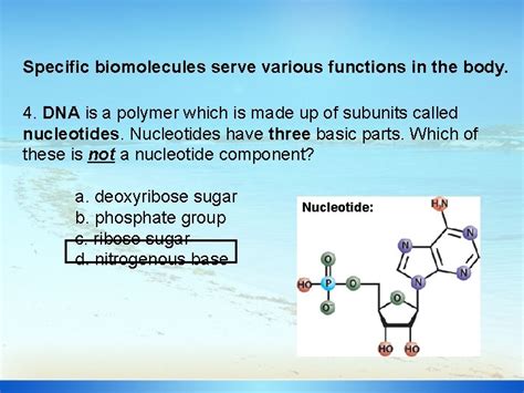 The field of dna nanotechnology takes this molecule out of its biological context and uses its information. Dna Contains Instructions For Making What Other ...