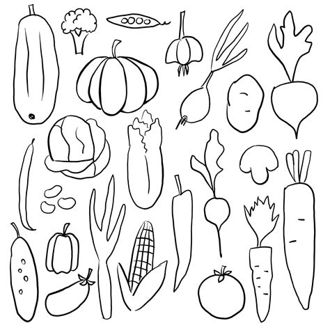 Premium Vector Vegetables Hand Drawn Clip Art Illustration Set