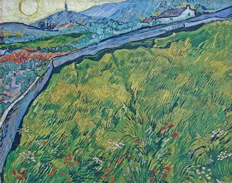 Field Of Spring Wheat At Sunrise Painting By Vincent Van Gogh