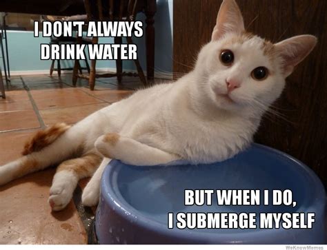 Funny Quotes About Drinking Water Quotesgram