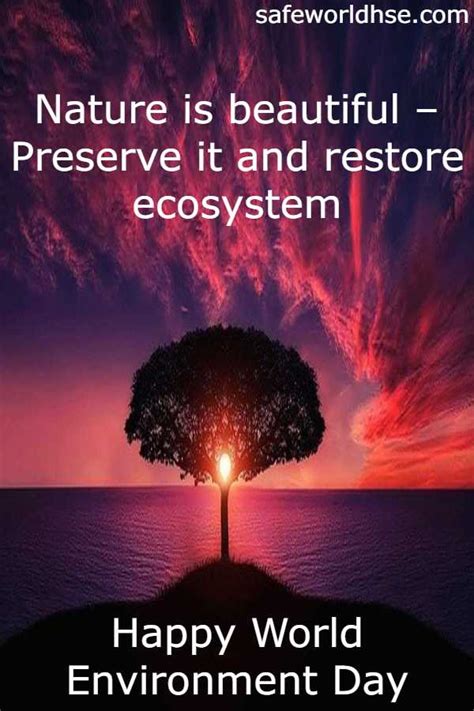 Best Ecosystem Restoration Slogans Quotes Messages Images Posters