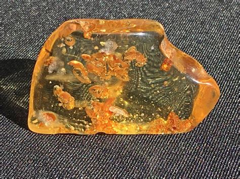 Sold Price Amber Fossil Rock Natural Collectible Specimen Copal