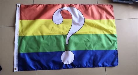 Questioning Pride Flag Official Store Pn2001 Asexual Flag™