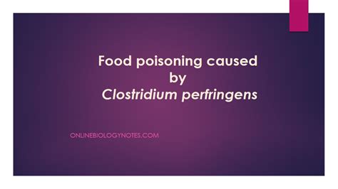 Clostridium Perfringens Pathogenesis