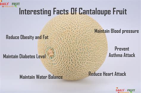 Nutrition Chart For Cantaloupe