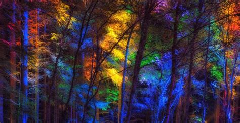 Desktop Wallpaper Forest Trees Colorful Water Colors Artwork Hd