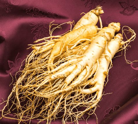 Korean Red Panax Ginseng What Is It And Why Do You Need It