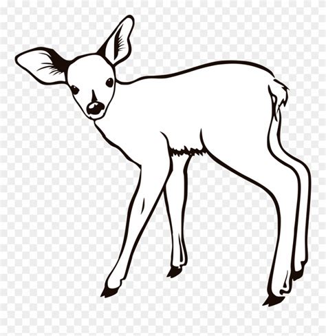 Download High Quality Deer Clipart Fawn Transparent Png Images Art
