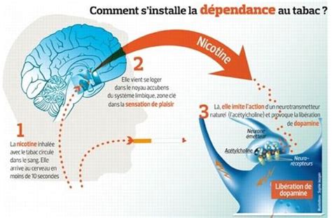 Définition d'une maladie mentale), hors du tabac fumé on ne l'est pas (indication : Dépendance au tabac - Qu'est ce que c'est ? - Fiches santé ...