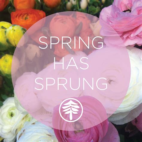 Spring has officially sprung! #synergy | Spring has sprung, Spring, Birthday